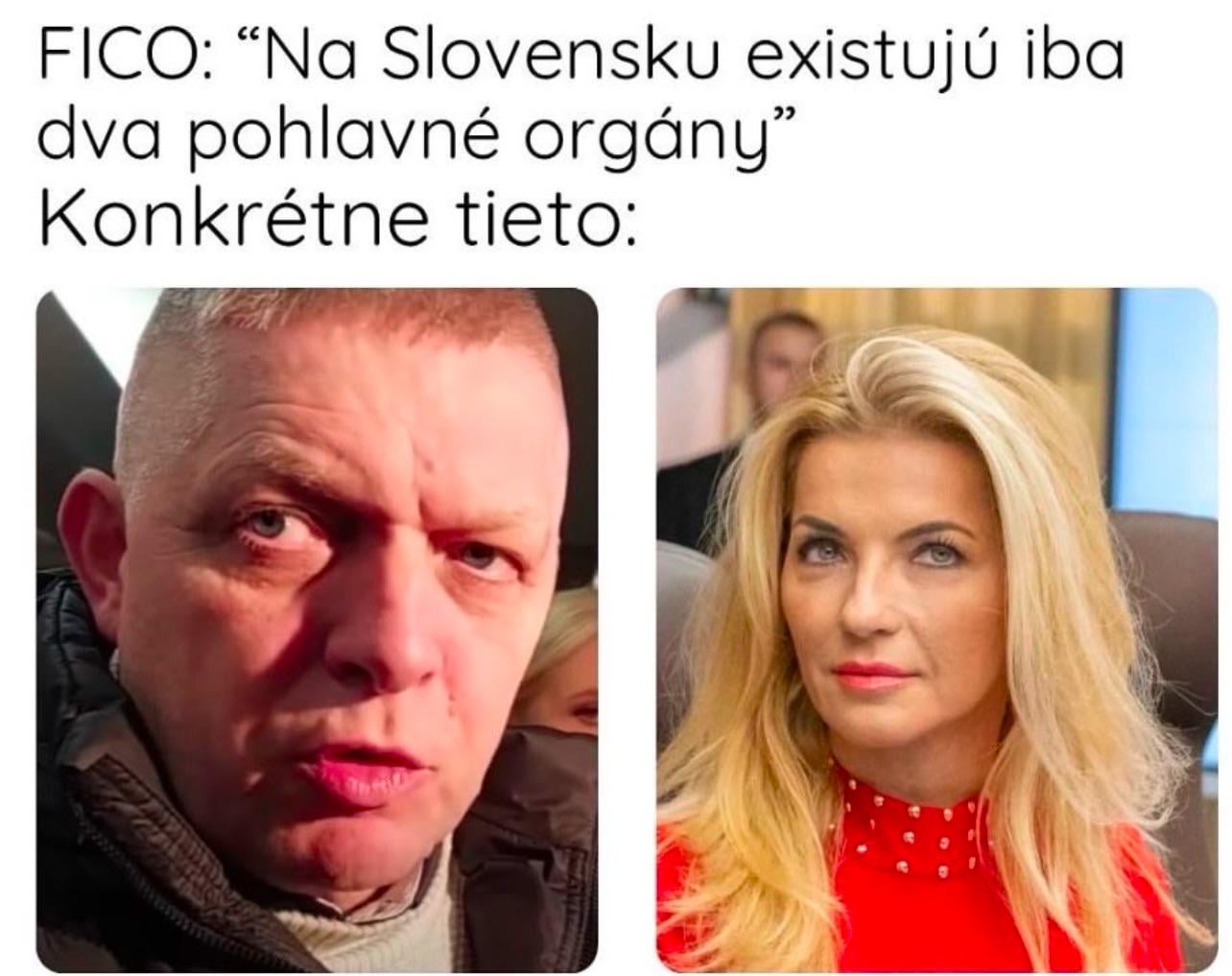 Na tému zmena ústavy