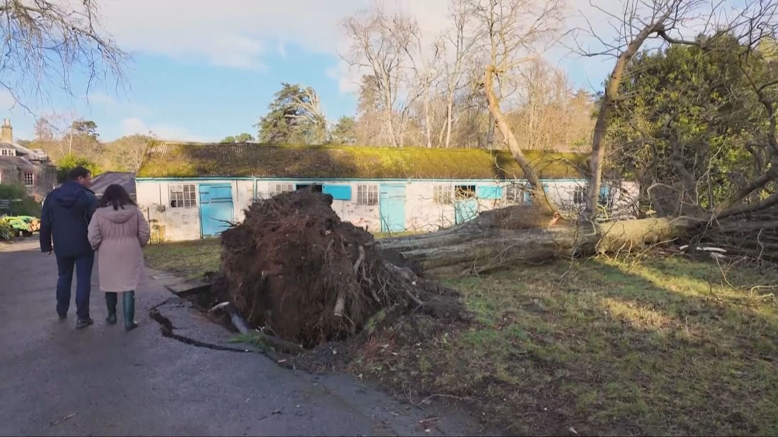 Storm Eowyn: Sombre week clearing 10,000 felled trees at Mount Stewart