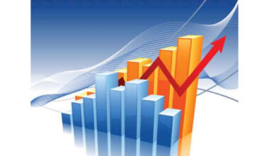 2024’s Economy Lays the Groundwork for a Steady 2025