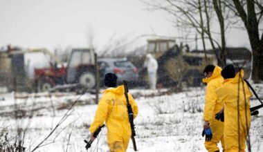 PVD: Iespēja mutes un nagu sērgai nonākt Latvijā ir maza