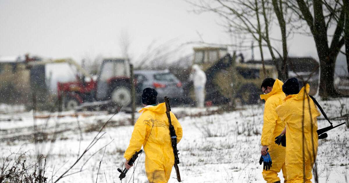 PVD: Iespēja mutes un nagu sērgai nonākt Latvijā ir maza