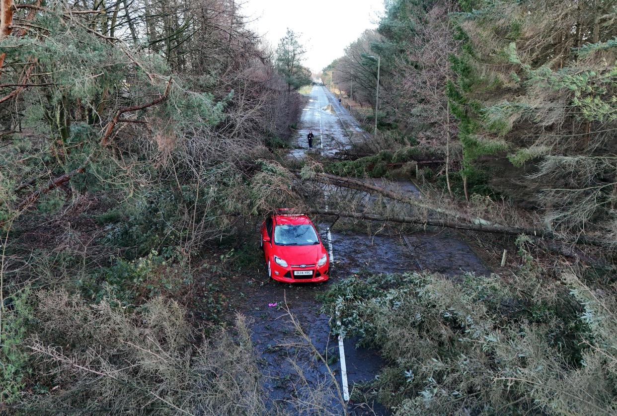 A car sits in Tryst Road in Larbert surrounded by fallen trees (Andrew Milligan/PA Wire)