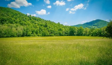 In a Polarized Era, Assessing the State of the Environment on a Local Level Takes on Extra Importance - Vanderbilt Law SchoolVanderbilt Law School