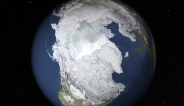 In winter, much of Canada, Alaska, Russia and Scandinavia is covered in snow. (NASA Goddard Space Flight Center photo)