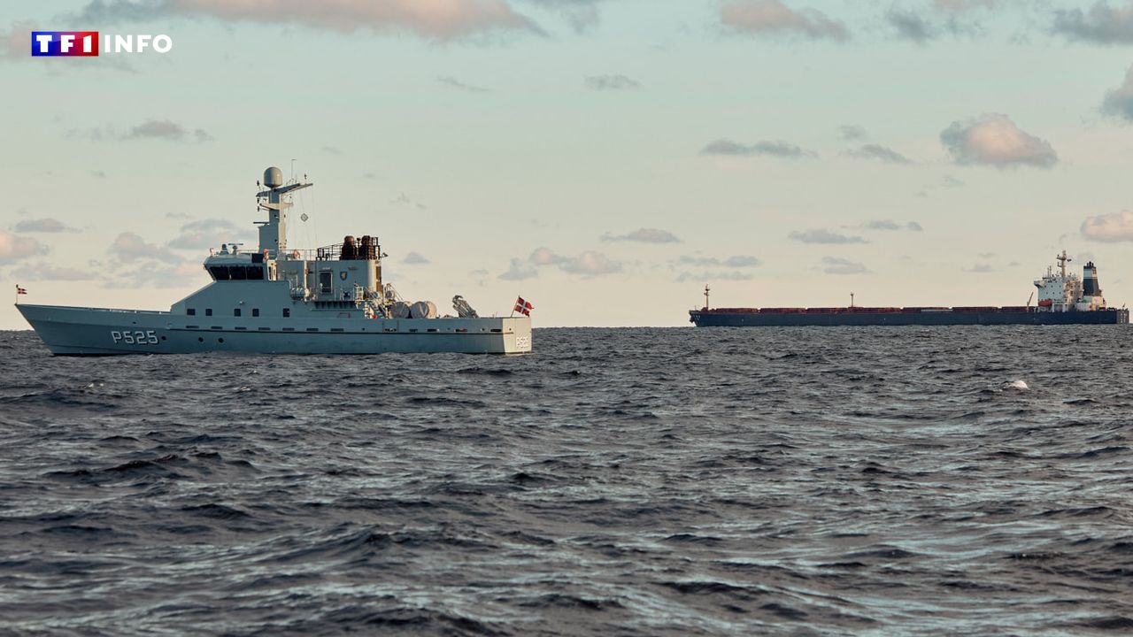 "Flotte fantôme" : l'Otan envoie deux navires en mer Baltique après des ruptures de câbles
