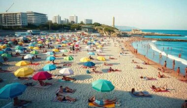 Malaga, Alicante, Madrid, Seville, Barcelona, Canary Islands, and San Sebastian, Explore Spain’s Tourism Updates for 2025 and Their Impact