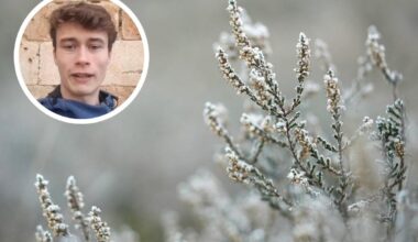 Jorge Rey alerta del tiempo que está por llegar a España, según las cabañuelas: «Desde Bilbao hasta Córdoba»