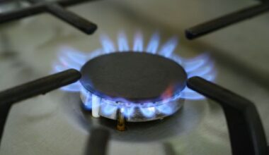 Moldova offered to buy gas for Transnistria at its own expense