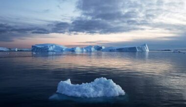 Gettyimages 1338575832 594x594