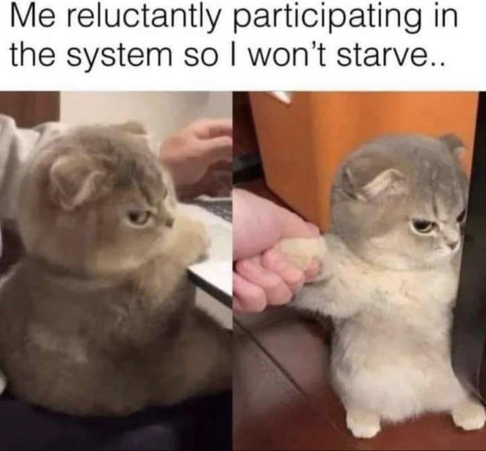 The bare minimum
