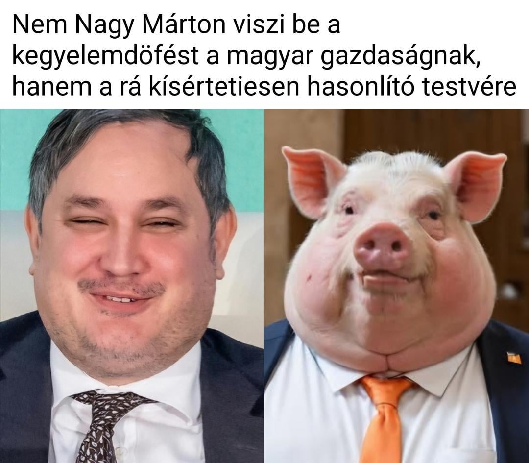 Marci igazából semmiről nem tehet