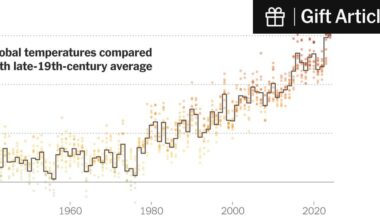 2024 was the hottest Earth has ever been