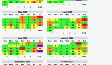 My Drinking in 2024 [OC]