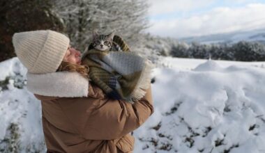 Ireland weather: Temperatures drop to -5.7C as forecasters warn freezing spell ‘isn’t going anywhere’