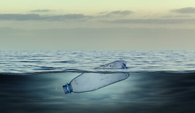 Plastic bottle, pollution that floats in the ocean.