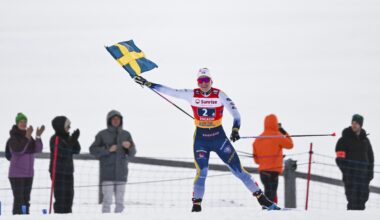 FIS logo