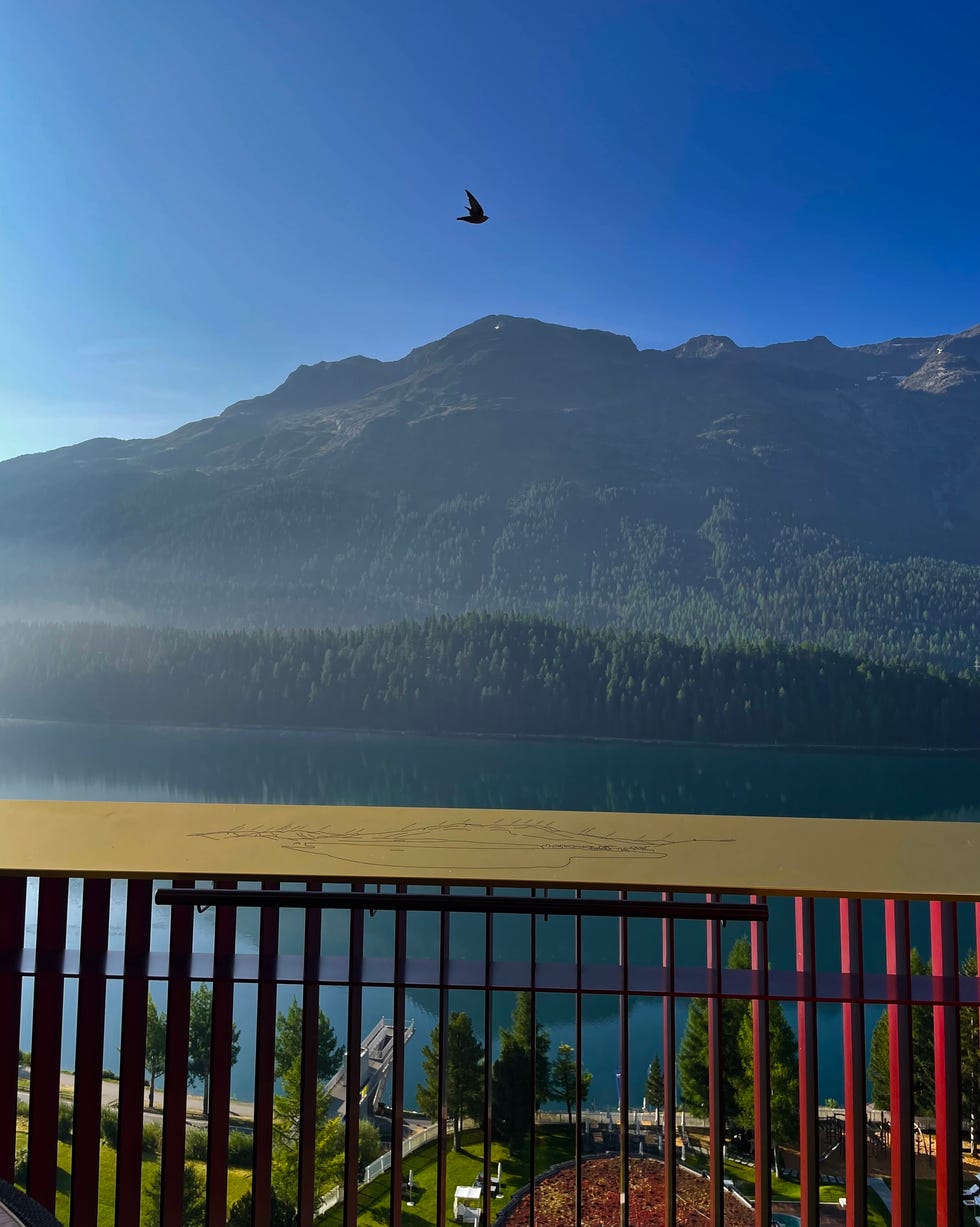 a panoramic view of mountains and a lake from a balcony with a bird flying above