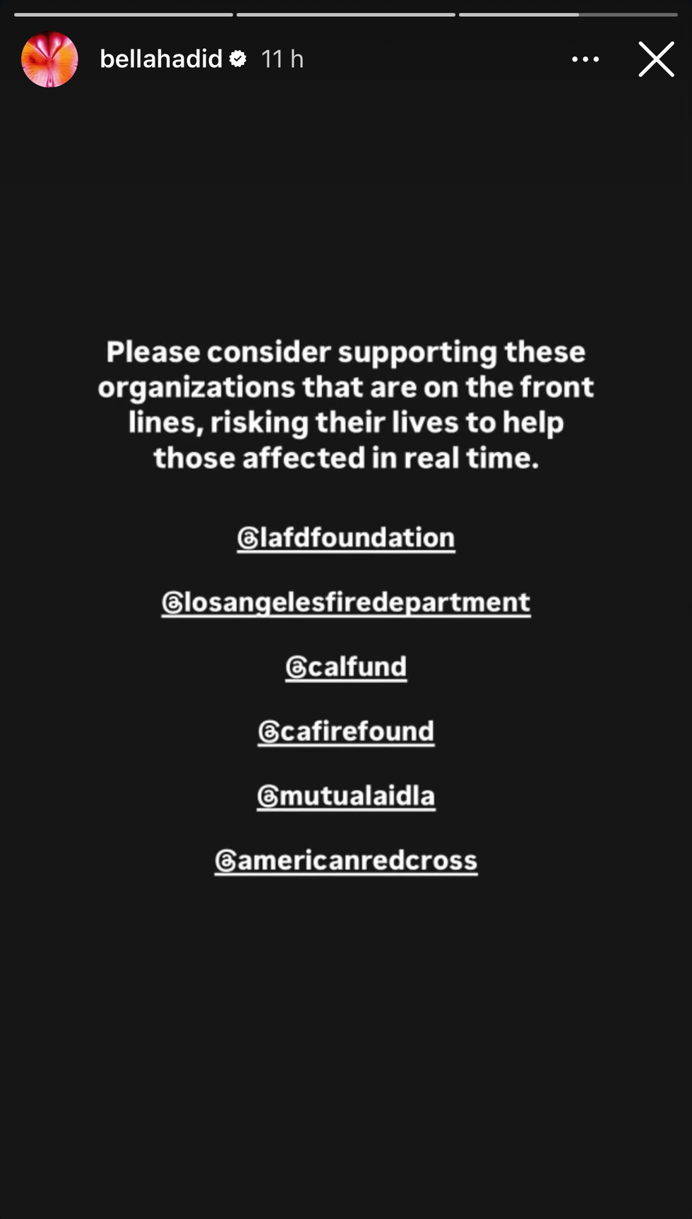 bella hadid suggesting places to donate