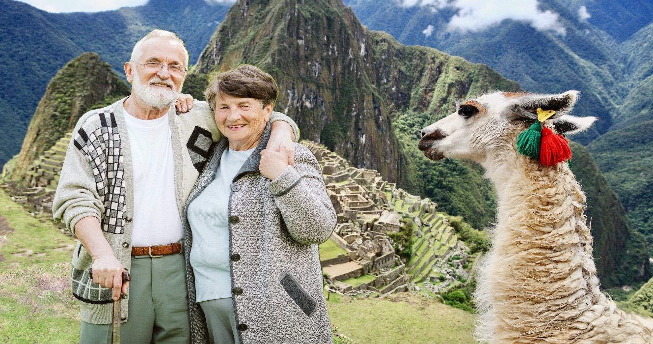 Llama at Historic Lost City of Machu Picchu - Peru