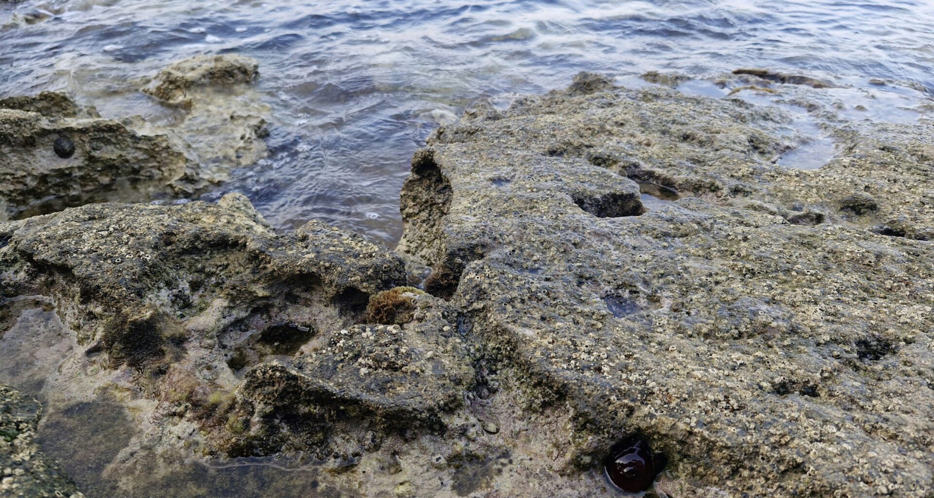 The Telegraph Names The Ugliest Croatian Coastal Town