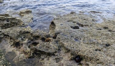 The Telegraph Names The Ugliest Croatian Coastal Town