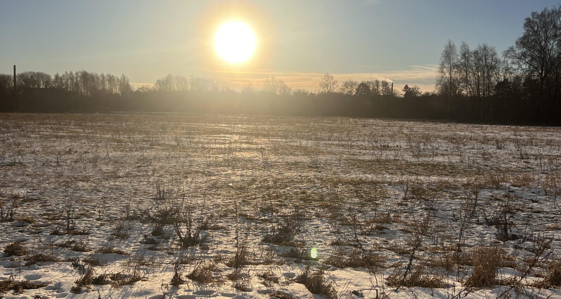 In my 15 years of living here, never seen such a warm January.