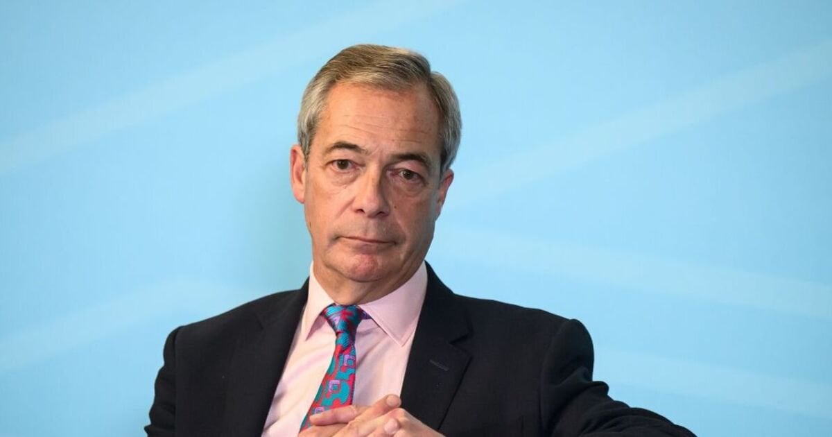 Nigel Farage says he and Elon Musk are 'still friends'