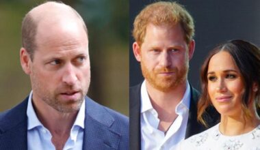 Prince Harry, Meghan address 'online bullying' as William begins powerful role