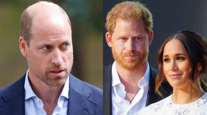Prince Harry, Meghan address 'online bullying' as William begins powerful role