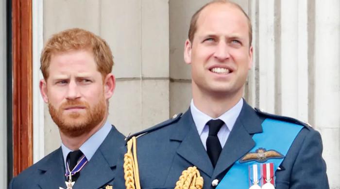 Major details about Prince William, Harry's meeting in UK revealed