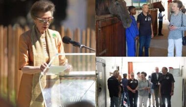 Royal family makes important announcement after Prince Harry's victory in UK