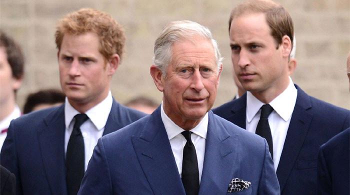 Prince Harry's rift with King Charles, William worsens?