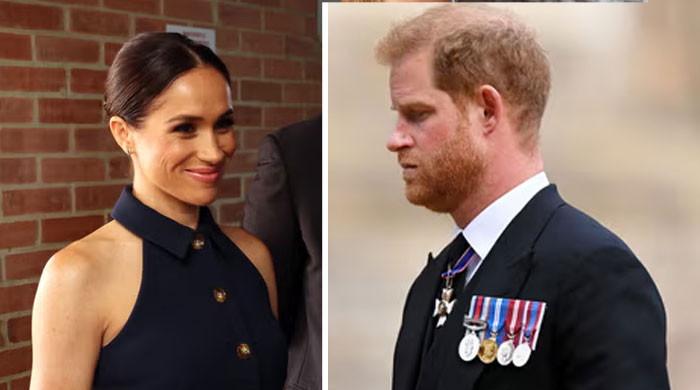 Prince Harry, Meghan Markle offered alot of support over ‘disturbing' allegations
