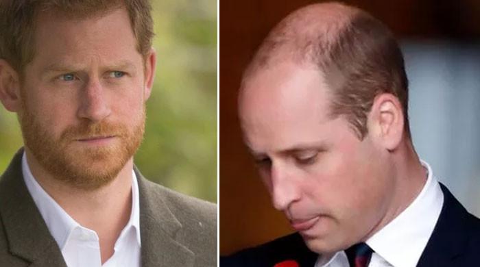 Prince William proves he no longer needs Prince Harry