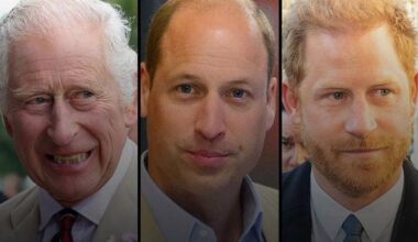 King Charles receives huge news about Prince William, Prince Harry reunion