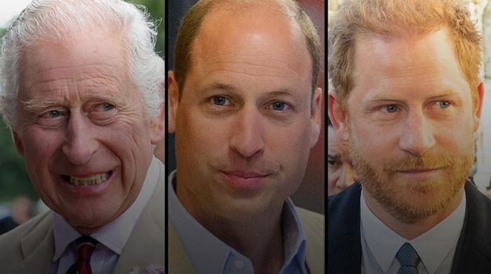 King Charles receives huge news about Prince William, Prince Harry reunion