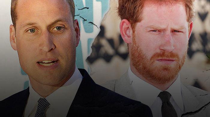 Prince Harry's controversies deprive Prince William of special honour