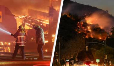 Billion-dollar US energy company’s possible link to LA wildfires is under investigation - US News