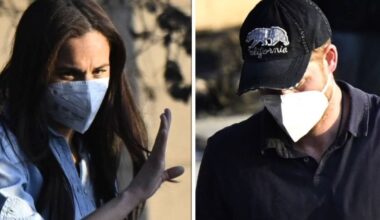 Harry and Meghan dubbed 'disaster tourists' after 'repulsive LA fires photo-op'