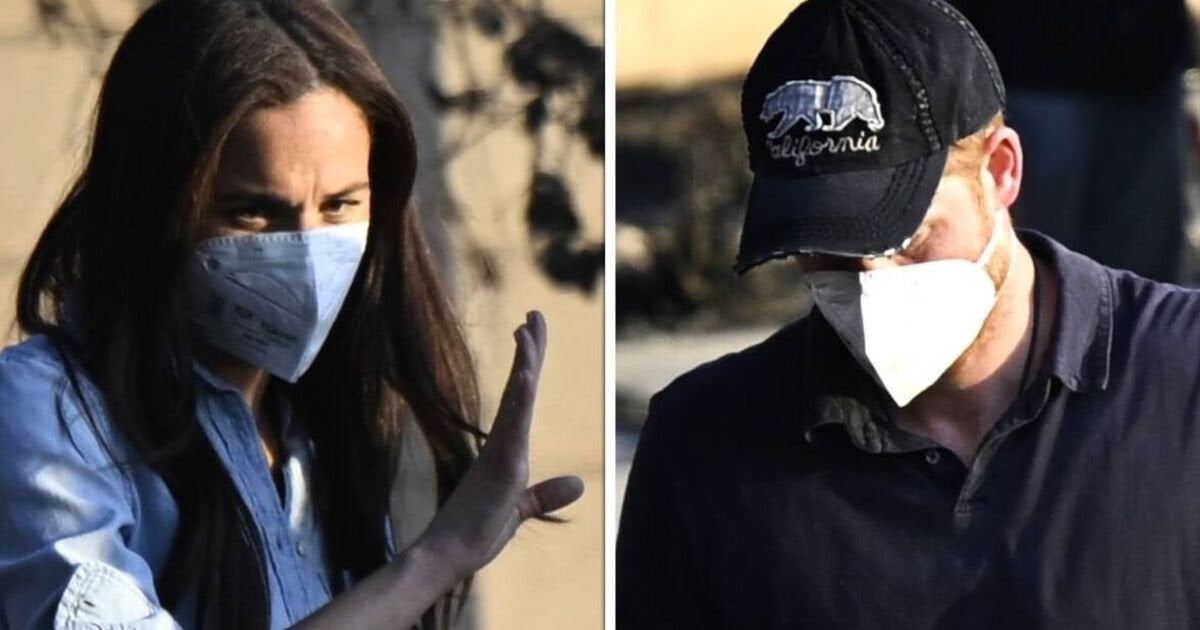 Harry and Meghan dubbed 'disaster tourists' after 'repulsive LA fires photo-op'