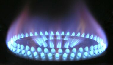 National Iranian Gas Company delivers 149 mcm of gas to power plants