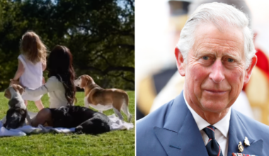 Expert reveals ‘hidden message’ Meghan Markle sent to King Charles in latest post