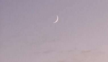 Anybody seen the moon this evening?