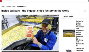 Why no one ever mentions the biggest chips factory is located in Europe?