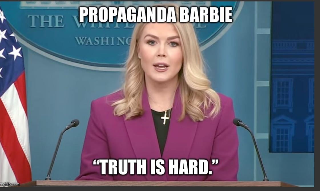 Insurrection Ken sold separately.