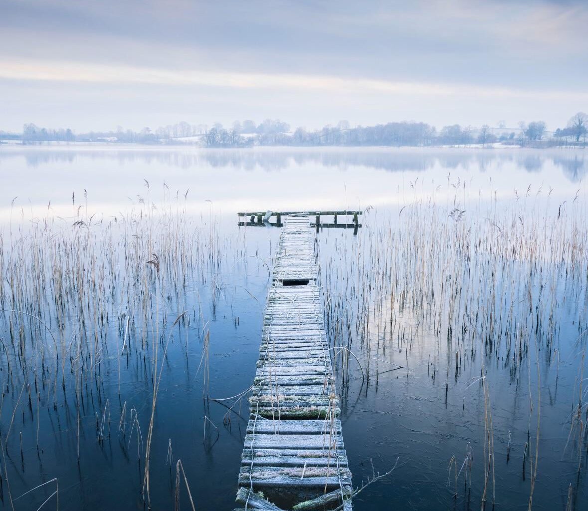 'Frost White Morning', [OC].