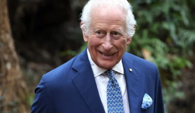 King Charles learns how many organisations it now takes to change a royal lightbulb