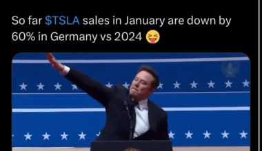 I'd like to know the toughts from our Hans about this and why Swedistan is buying so many Teslas