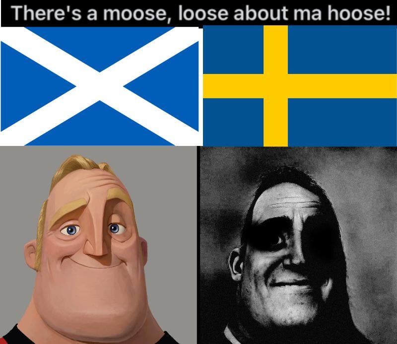 There's a moose, loose, about ma hoose