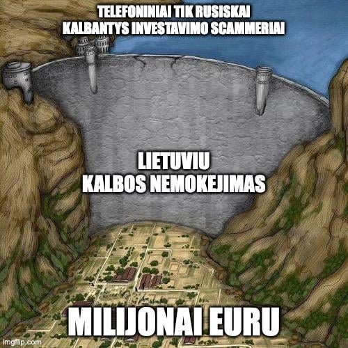 Kai nesimokai Lietuviu kalbos ir gyvenime prireikia
